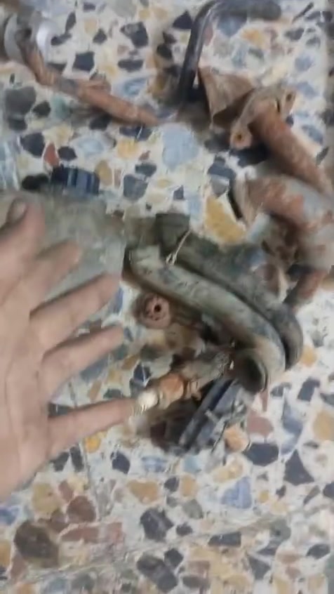 سلام عليكم كفرات وغراض دراجه البيع


**إذا كنت صاحب هذا الإعلان وتريد حذفه لأي سبب، رجاءا أرسل رسالة إلى الدعم الفني**