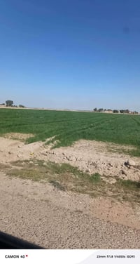 جبتلك عرض لا يفوت ولاول مرة يعرض يوجد 24 دونم طابو ملك صرف حق التصرف و...