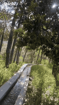 سماد عضوي • كمبوست • النجف الأشرف