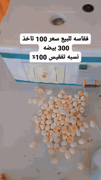 اتصل 07825973236