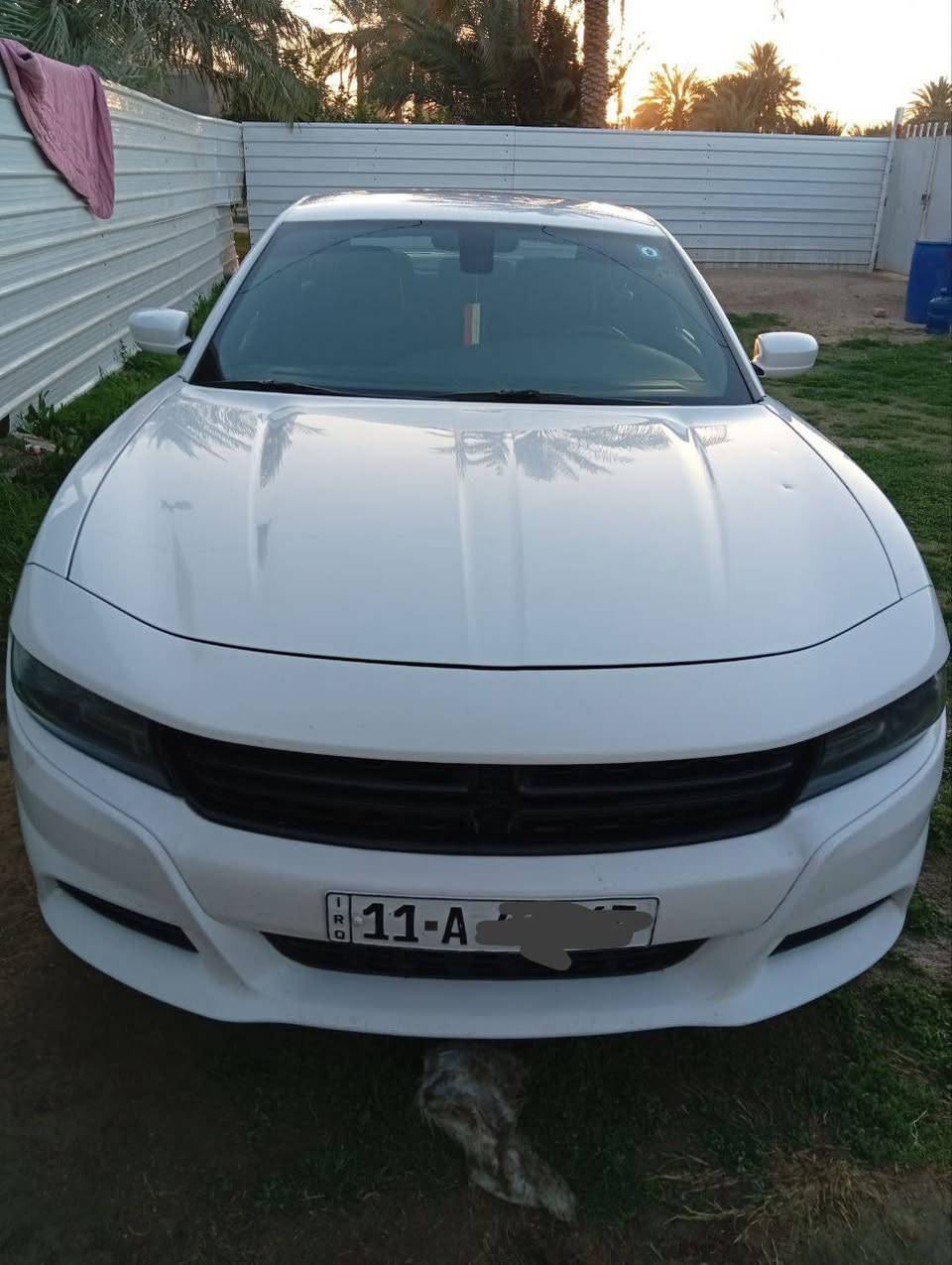 السلام عليكم دوج جارجر 2019 مواصفات SXt المعروفه بدون حادث كلين فقط دعاميه اماميه حتى بدون ايرباك رقم بغداد انكليزي
مواصفات 
*شاشه كبيره
*حساسات 
*تشغيل عن بعد 
*ماشيه 123km
*ويل عشرين 
*تو ويل 
*تبريد قطعتين 
سياره جديده جاهزه للاخير
***********
***********
العنوان بابل الشوملي
