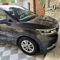 كرنفال ٢٠٢٤ • وارد امريكي • ٣٥ الف مايل