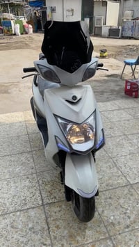 سكنس • ياباني • مكفولة