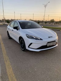 ٢٠٢٥ • ١١٠٠٠ كم • كربلاء