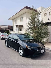 كورلا • ٢٠٢٣ • بدون صبغ