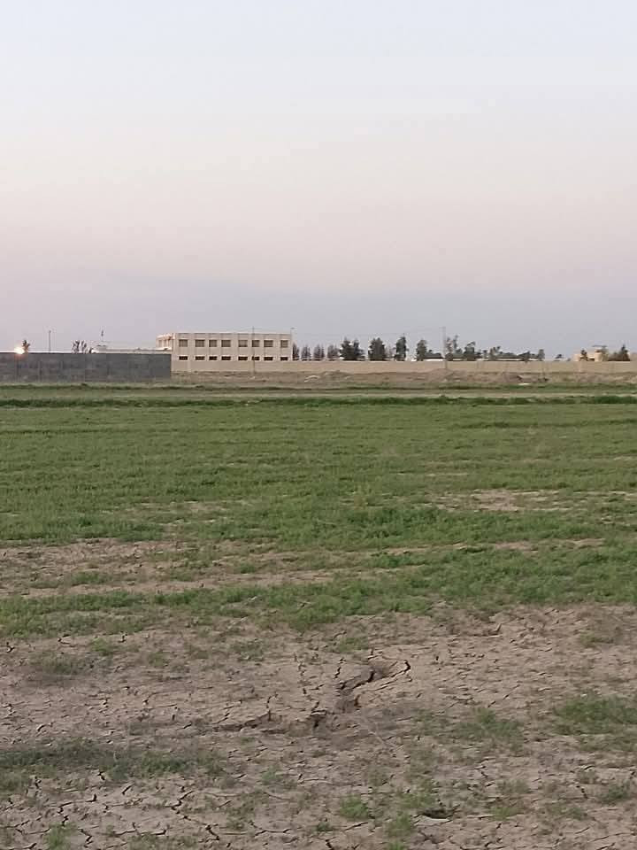 دوانم راقية جدأ الاسعار خيالية سعر الدونم 8 وبيها مجال مليون وبي مجال علة تبليط مباشر ابيع من 2دونم الى ال10 وضهر الارض علة الاروائي مباشر موقع كلش حلول
مقابيل سبع البور منطقت العساوية نهاية منطقت الشيخ عامر
وشرط متدفع فلس اذا مينفتح بيان بطابو يعني تدفع مجرد عربون يعني حتلو 25الف بس هاي علة المكاتبة لحد ماتفتح بيان بطابو تدفع نسبة من المبلغ الارض 
بل نسبة لي يكول علة يا طابو الفوجى سند25حق تصرف
للاتصال ***********واتساب
