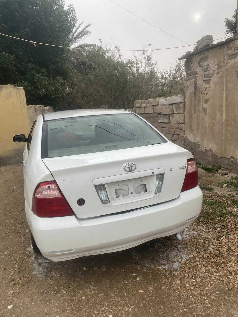 سلام عليكم كورلا ياباني مديل 2007 بيكاتشو  1600 كير ومحرك وتبريد مكفولات سياره مصبوغه حزام اثر شخوط بيها جاملغ وطخه بسيطه بلبدنه مكفوله شواصي لغود حوض تكمة قماره اكفلك اصوليات رقم مميز انكليزي نجف ترهم اقساط ونقد ***********
