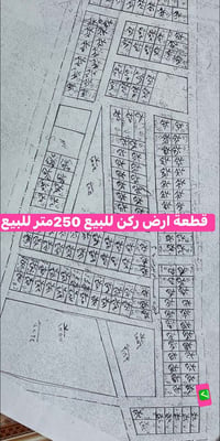 بلدروز التوزيع الاول • ٢٥٠م • ركن شارع رئيسي