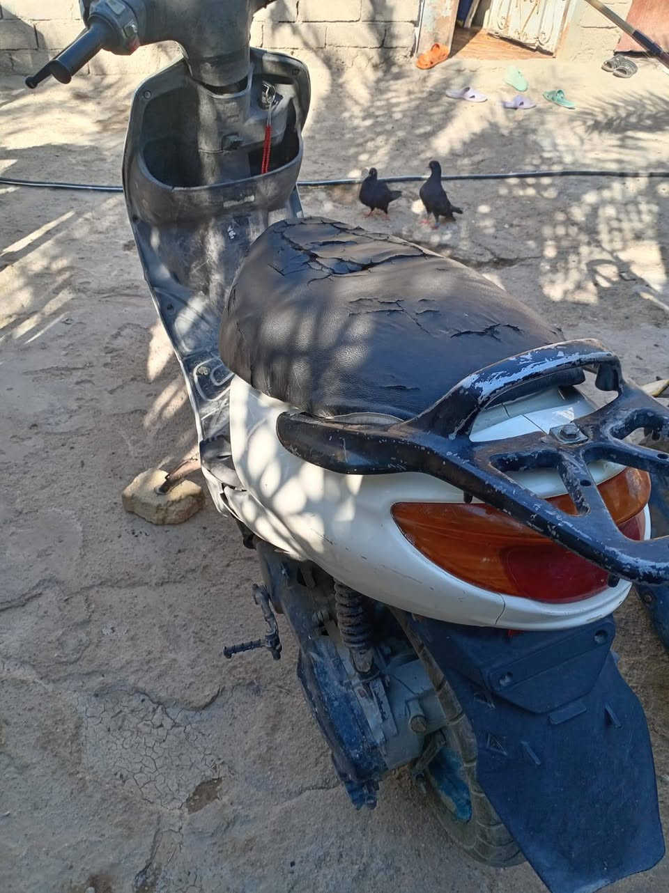 سلام وعليكم
للبيع اگزز دراجه كامله وشغاله 
مانقصها شي فقط باتري 
كهربائيات شغاله من كلشي 
مكان البصرة  القرنه ملاحظه مكلف بل نشر 
 رقم صاحب الدراجه ***********
