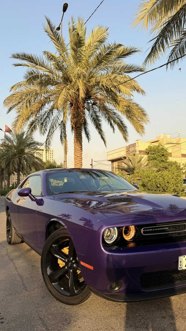 للبيع دوج جالنجر 2023 sxt last call / النداء الاخير
V6 3.6 / ماشية 44 الف 
لون بنفسجي حادث خلفي بجم كبس 
ايرباك البردة اليمنة فقط 
جاملغ خلفي صبغ و نص الصندوق و الجاملغ الثاني pdr بارد 
تعديل بارد بالشاصي الخلفي الأيمن 
صور الحادث مرفقة 
مواصفات الجالنجر المعروفة 
السيارة جاهزة متصرف عليها ربع 
السعر / 212 ورقة و بيها مجال للشراي 
رقم اربيل تحويل او وكالة 
مكاني بغداد السيدية 
***********
