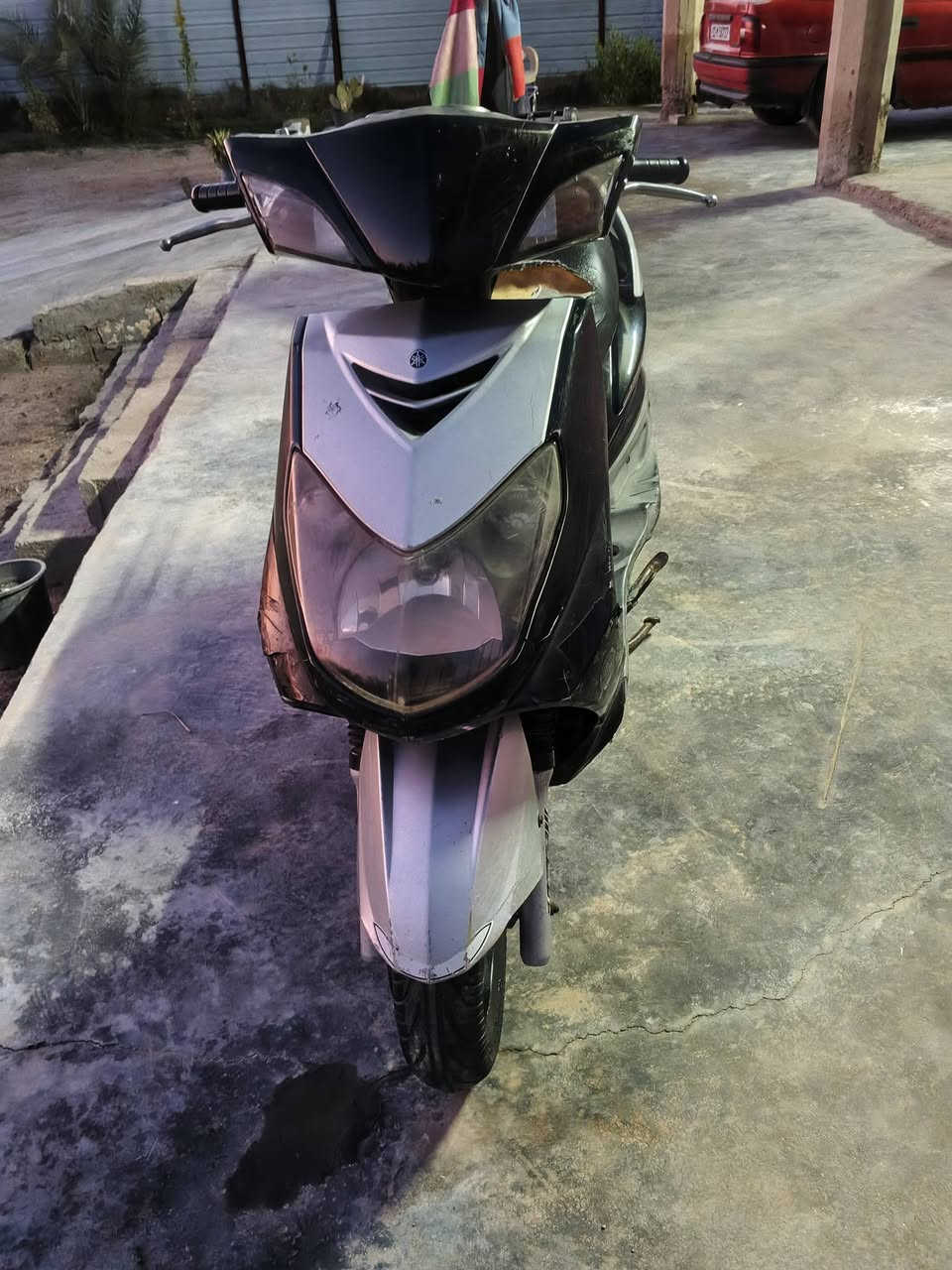 سلام عليكم
سكنس فحل نوزل خطين يحتاجلها شوية ترتيب بغداد أبو غريب ***********
