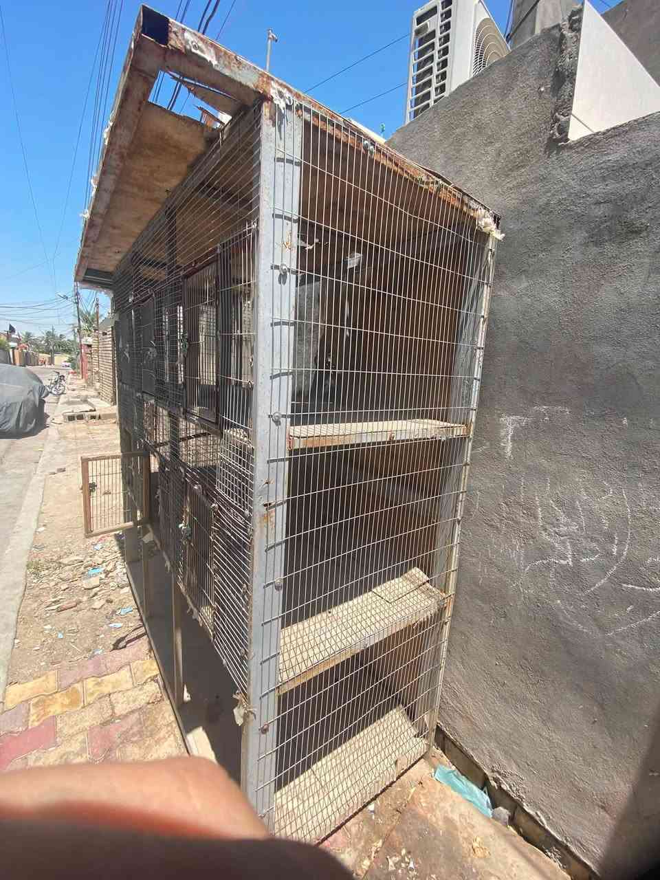 سلام عليكم قفص حديد جبير ثكيل شخاط قوي مقطع خانات وتكدر تشيل الفواصل منيمه الارتفاع 2 متر الوجه 2 متر النزال 80 سم سعره 90 الف مكاني بغداد جسر دياله القديم تواصل ***********
