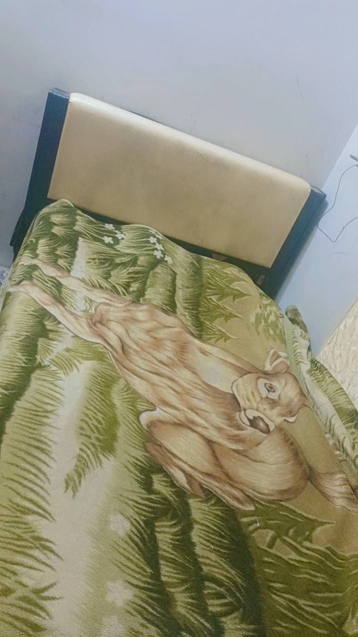 ١٢٥ اي ضرر ما بيها مكان بغداد كريعات والغرفه مع دوشك ١٥٠ اي ضرر ما بيهم


**إذا كنت صاحب هذا الإعلان وتريد حذفه لأي سبب، رجاءا أرسل رسالة إلى الدعم الفني**