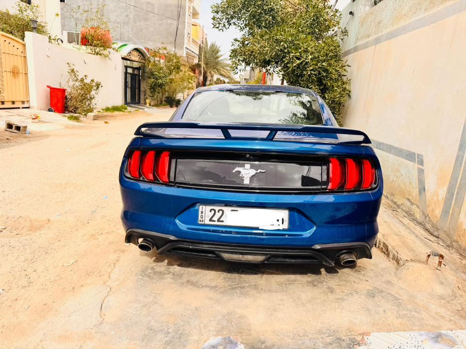 للبيع او مراوس حسب  القناعة موستنك 2018 ايكو بوست محدد اماكن الصبغ رقم اربيل باسمي تريد وكالة تريد تحويل ماشية ١٥٠ كيلو (محرك كير اكسل شواصي لغود دواخل كفالة) ايرباك دركة ودشبول راجع سستم طقم تاير جديد امريكي اصلي السعر ١٢٨ ومجال بسيط اي استفسار ***********
