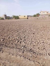 أرض زراعي سند 25 للبيع المساحه 3000متر مربع... العنوان طريق السنيه نزل...