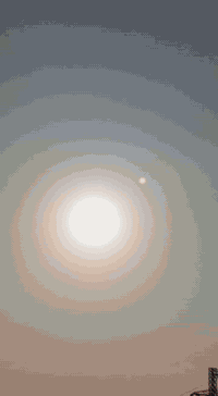 ستوته 24 للبيع كفاله 07779950280