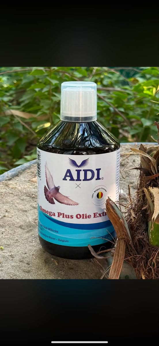 يالله ع بركت الله 
توفرت جميع منتجات 
شركه 

AIDI.

جميع المنتجات متوفره ان شاء الله 
اكسابير كله بعيد 

الحجز والاستفسار
تواصل خاص 

***********
***********

ت
متوفر خدمه توصيل لجميع محافظات العراق
