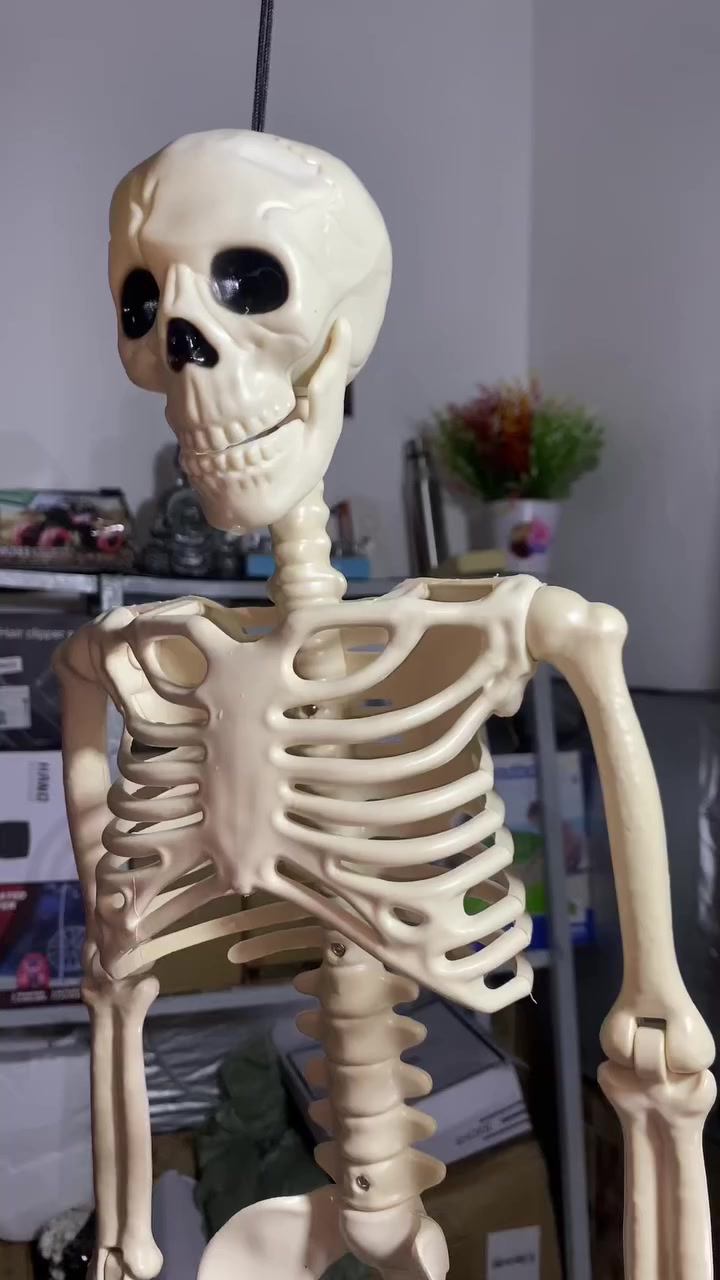 الهيكل العضمي. اكتبلي سعرك وبلعافيه


**إذا كنت صاحب هذا الإعلان وتريد حذفه لأي سبب، رجاءا أرسل رسالة إلى الدعم الفني**