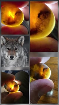 حجر سليماني • مدينة الصدر • لا توصيل