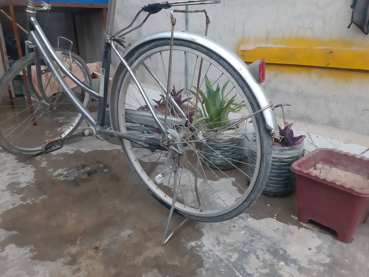 السلام عليكم  بايسكل للبيع السعر خاص


**إذا كنت صاحب هذا الإعلان وتريد حذفه لأي سبب، رجاءا أرسل رسالة إلى الدعم الفني**