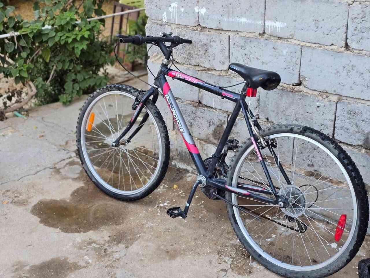 السلام عليكم بايسكل جبلي عدد 2
الصغير ب 60 

والجبير ب 65

اثنينهم ب 120 وبي مجال

عكرب ثنينهم وبي ستاند موبايل
*********** واتساب فقط فقط
