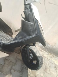 ماكس عدل • نظيف • اوراق اصلية