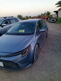 كورلا هايبرد • ٢٠٢٢ • حادث خلفي