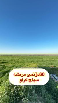 أرض ٦٠ دونم • طريق سيد خليل • للبيع