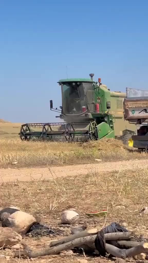 جوندێر 1158 مەنەفێس مەکینە سۆپەر برینە گەورە  مەرغوبترین نەوعی جوندێر .. ***********
