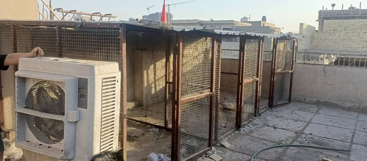 مرحبا
قفص كله حديد زاويه وچينكو معروض للبيع بسعر ٤٠٠


**إذا كنت صاحب هذا الإعلان وتريد حذفه لأي سبب، رجاءا أرسل رسالة إلى الدعم الفني**