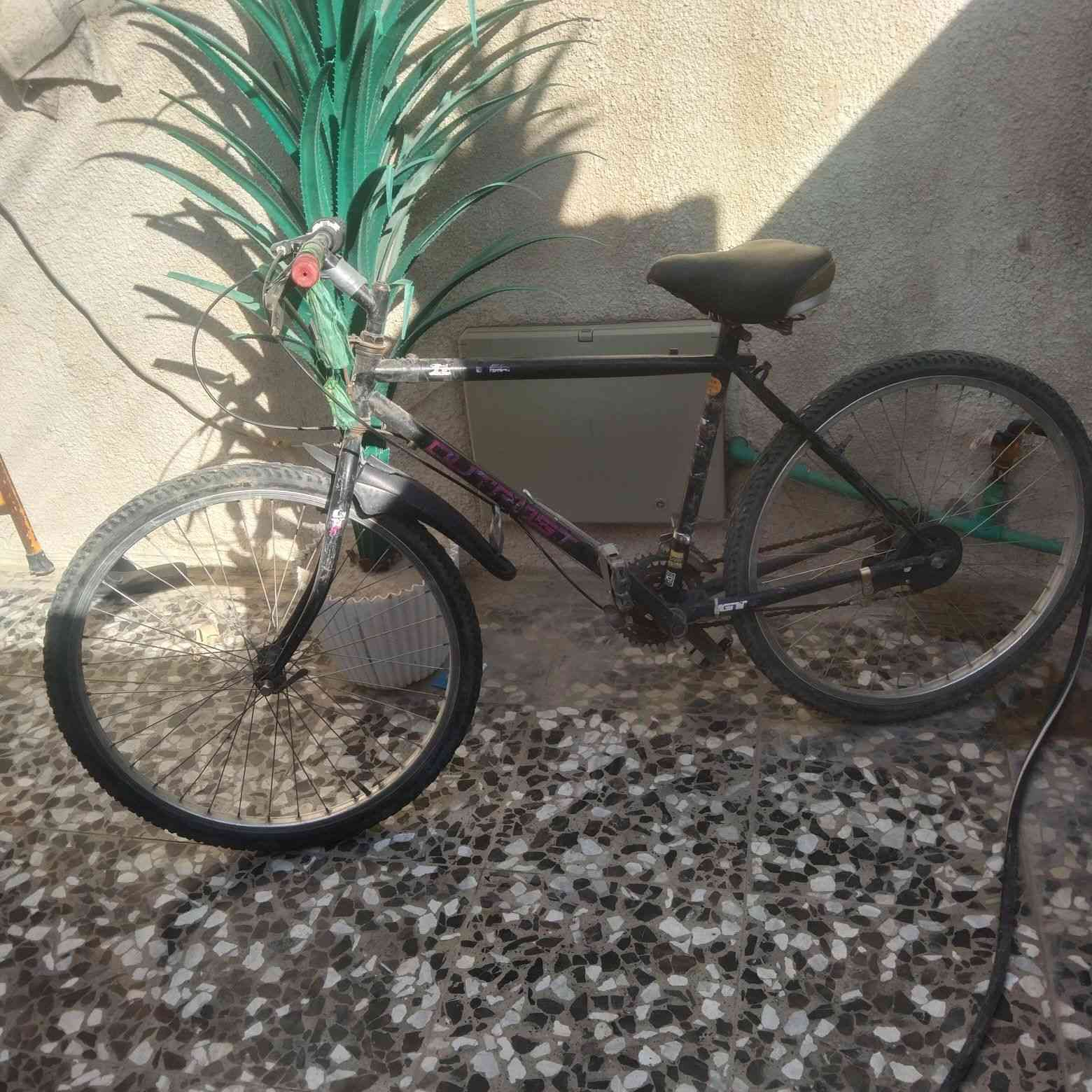 باسكل حجم 24 لبيع لزعفرانيه اربع شوارع سعر 40وبي مجال


**إذا كنت صاحب هذا الإعلان وتريد حذفه لأي سبب، رجاءا أرسل رسالة إلى الدعم الفني**