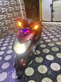 سكنس فحل لبيع بلبلديات سعره550.     07780223832