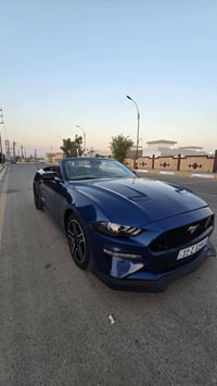 موستانغ ايكوبوست • ٢٠٢٣ • بعقوبة