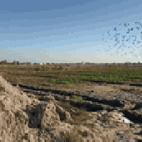 السلام وعليكم 90 دونم سند 25 بأسم واحد فقط  سعر الدونم 175 الدوره هور ...