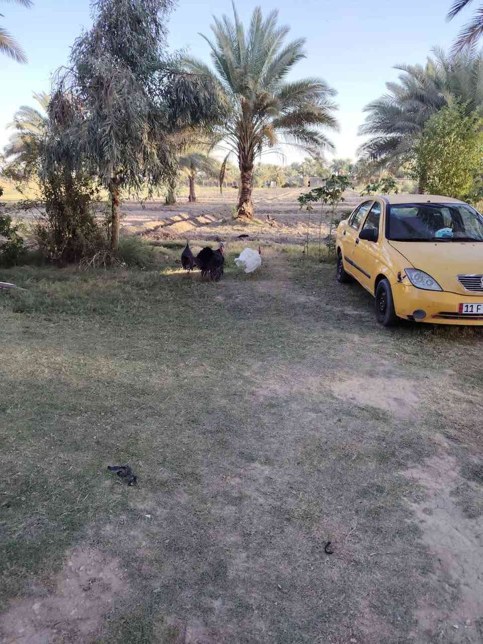 السلام عليكم طيبه مديل 2015
مكينه وكير خير من الله
تخم تاير
تبريد
صدر جديد
السعر 35وبيها مجال باقي التفاصيل اتصل
‏‪***********‬‏
