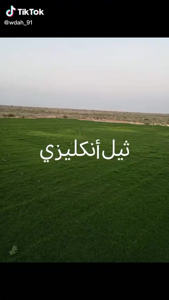 مزارع  الشمال للثيل الطبيعي 🍀
متوفر كافة انواع الثيل 🍀

( امريكي - الهندي - الايطالي - الفرنسي )

لتجهيز... مشاتل🌴

والدوائر حكوميه🏦

منازل🏡 

منتزهات🏄

موجود خدمة توصيل 🚕

لكل محافظات العراق 🚕

للطلب يرجى التواصل مع الصفحة او مراسلة واتساب او الاتصال على :

***********
