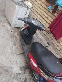 دراجة ثعلب • نضيفة • ماركة توبو