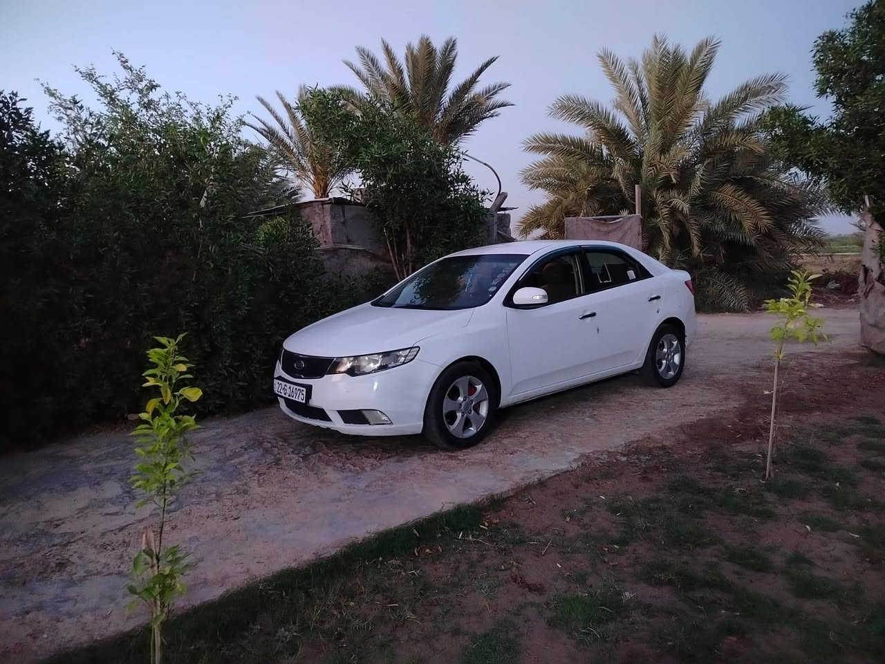 سلام عليكم سيراتو خليجي 2010مكفوله كفاله عامه تبريد ثلج رقم اربيل تريد وكاله تريد تحويل بسم كردي تحويحل ثاني يوم سياره سونار بيعك وبيه سونار بل صوره تخم تاير صدر مكينه وكير بل جيس مكينه 1600دوش سياره مال جناي ترهم مراوس حسب القناعه مكاني بابل الحصوه هاذا رقمي ***********
