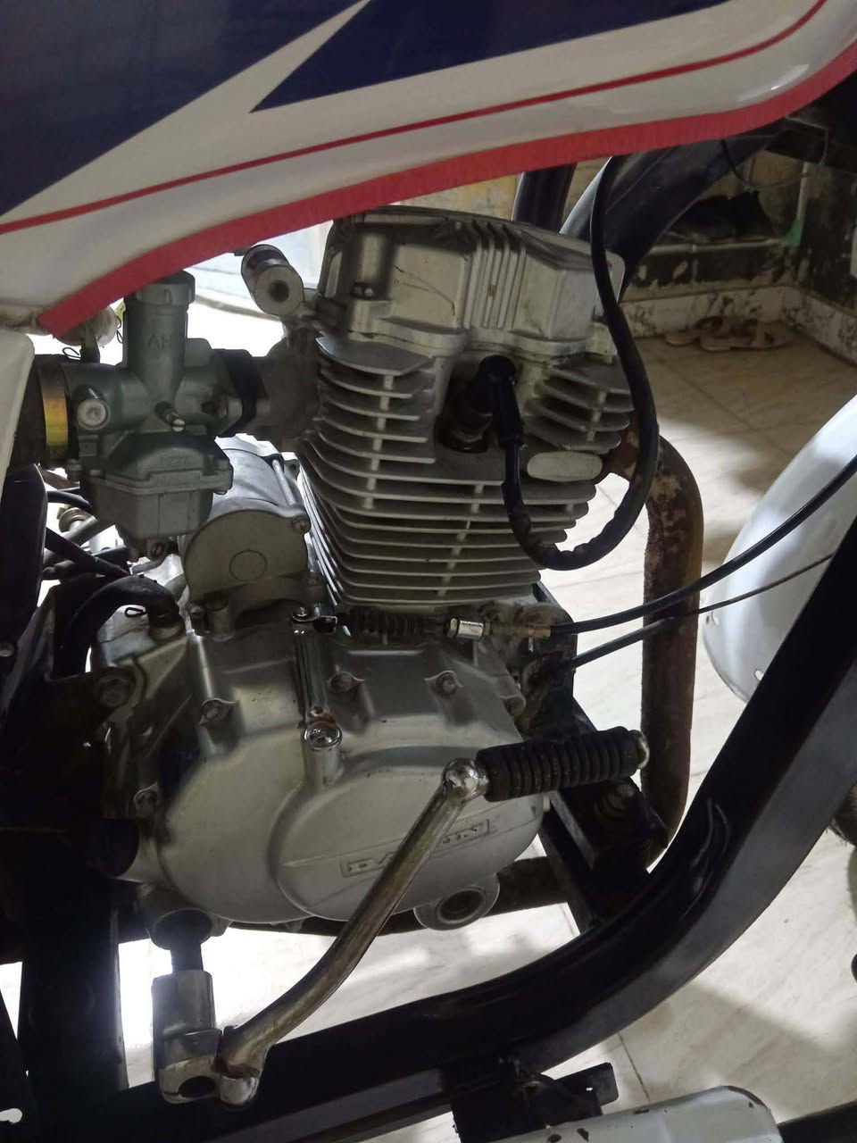 ستوته  ١٩  وراق اصولي  كهربئيات شغاله  جاهزه  انكر هندر وطلع سعر  ١٦٢٥  وبيها مجال  بصيط رقم ***********
