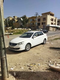 دونفینگ • ٢٠١٥ • السليمانية