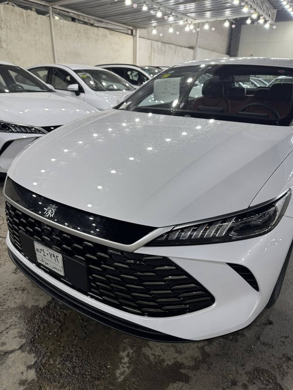 سيارات قسط بدون كفيل الكاسب
تدفع مقدمه والباقي قسط شهري 

العنوان بغداد معارض البياع


**إذا كنت صاحب هذا الإعلان وتريد حذفه لأي سبب، رجاءا أرسل رسالة إلى الدعم الفني**