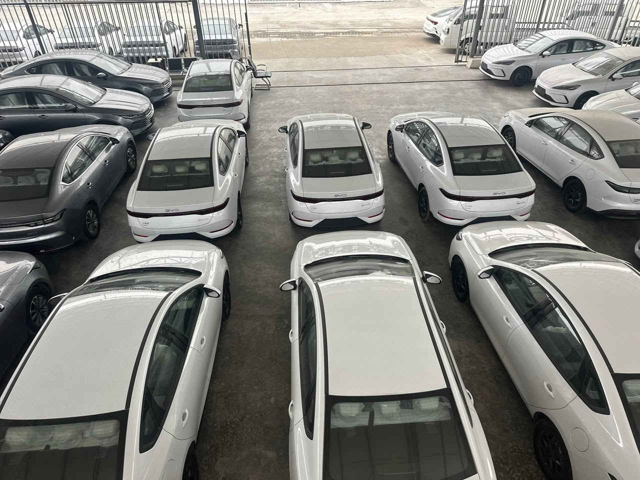 الاسعار جوه السووك 🔥

الديستروير 

الكن بلاص

سيل 5

 ويتوفر جميع انواع سيارات البي واي دي 

من قلب مخازن وساحات السيارات في اليوسفية 

للبيع المفرد والجملة

🥇مجمع معارض مدخل بغداد للسيارات

الاسعار اتصل وتدلل انسب الاسعار 

🔴بي واي دي دسترويرBYD موديل 2025 نار 🔥 

🔴بي واي دي كن بلاص BYD موديل 2025 🔥 

🔴بي واي دي سيل BYD موديل 2025 🔥 

الاسعار جدا مناسبه

        زورونا واهلا وسهلا بكم

يتوفر كافة انواع byd😍

___________________

مواصفات الكورلا 

فول الفول 

كرسي عادي 

شكل الامريكي وشكل خليجي

               

للاستفساراكثر اتصل على الأرقام التالية

🥰🥰🥰🥰☎️☎️☎️☎️

عزالدين الغريري

ادهم الغريري

***********

***********

***********

***********

معرض ديار الكرم 

📍الموقع بغداد اليوسفية قرب سيطرة 75

( مجمع معارض مدخل بغداد للسيارات)

(((معارض اليوسفية))) maps/waze 📍#BYD #bydبغداد #العراقيين

#BYDIraq

#يخيي

#متابعة

#BYD#. #بغداد
