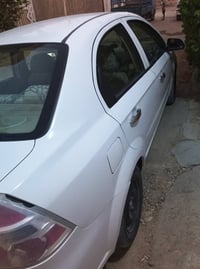 افيو • ٢٠١١ • مصبوغة