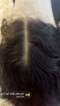 شعر بشري • ١٠٠٪ طبيعي • قابل صبغ