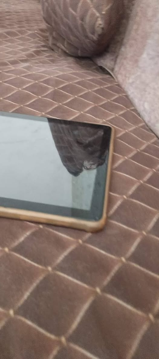 ايباد للبيع السعو 150وبي مجال بس بي كسر شوي


**إذا كنت صاحب هذا الإعلان وتريد حذفه لأي سبب، رجاءا أرسل رسالة إلى الدعم الفني**