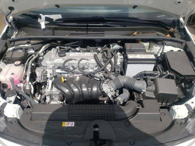 كورلاء شمالي بسمي ٢٠٢٠ وارد ابيض صدفي بغداد, العراق
