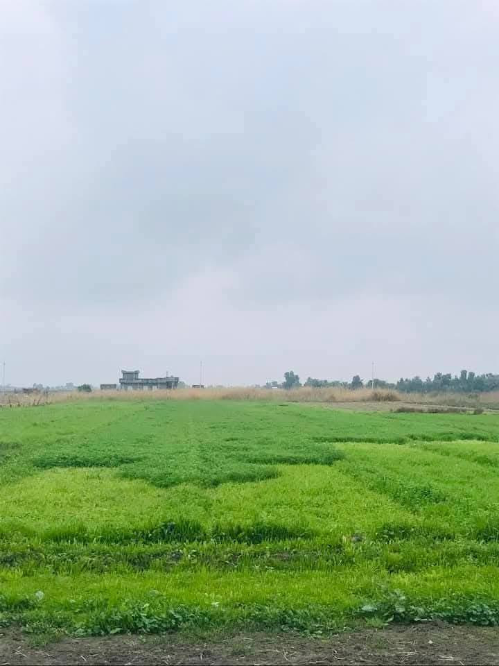 ارض المساحه ١٦ دونم للبيع طابو زراعي سند ٢٥ سعر الدونم تباع حسب الطلب اقل شي دونم سعر الدونم ٧ونص وبيها مجال خدمات مي وكهرباء تبعد عن الكاظميه نص ساعه سند مستقل العنوان سبع البور ذراع دجله الشيخ عامر العيساويه اتصال ***********واتساب
