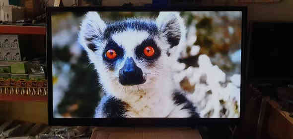 تەلەڤیزۆنی LG قەبارە 50 مۆدێل PB560B
شوشە سمارت نیە  لە هەولێرە نرخی 140000
پەیوەندی بکەن بەواتساپ و ڤایبەر *********** أربيل
