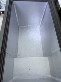 مجمدة • هايننز • جديدة