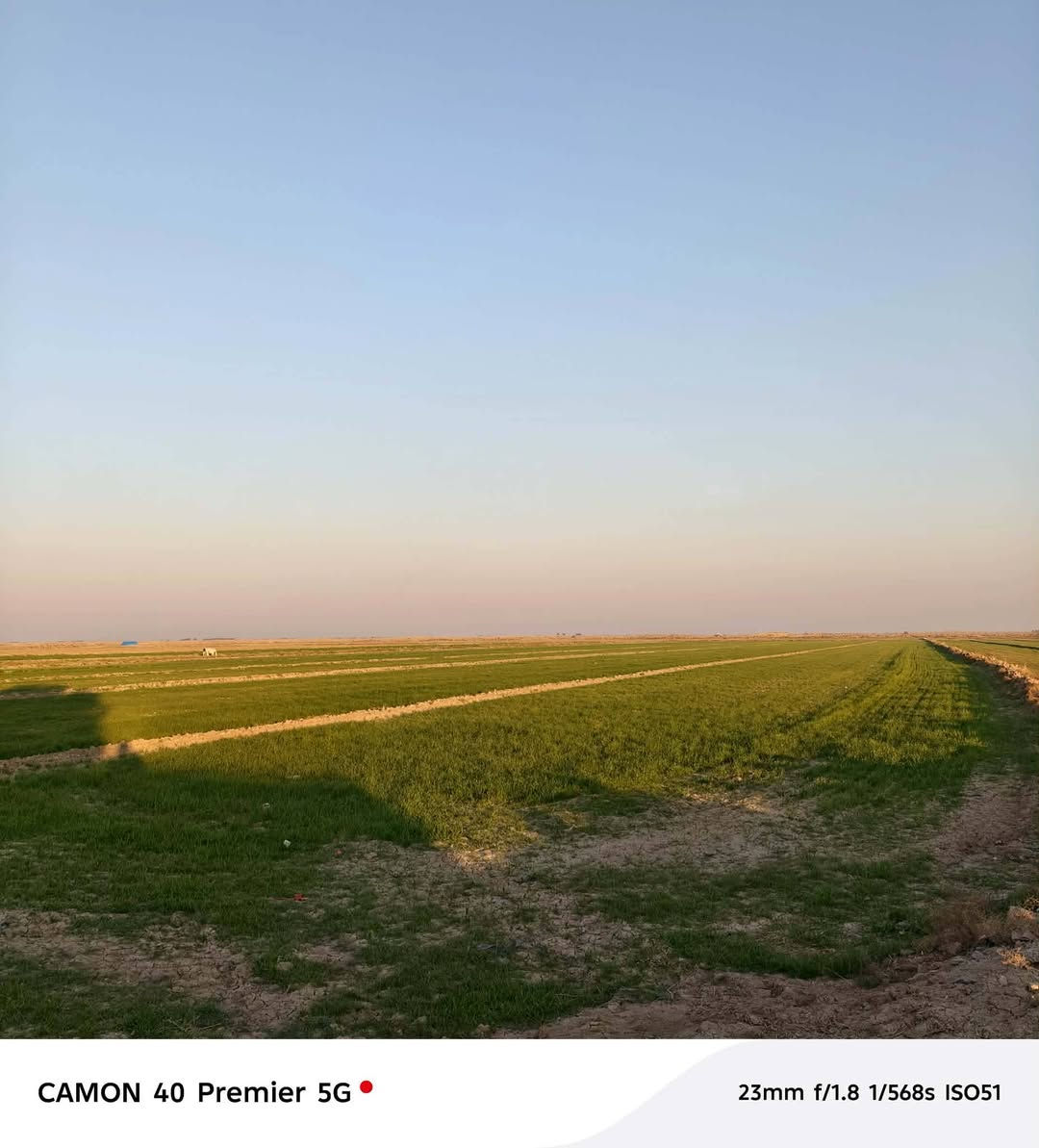 سلام عليكم أرض زراعيه خصبه للبيع 17 دونم مكاني كوت الأحرار _معدله ليزر متوفر ماء +كهرباء +تبليط اي معلومه اتصل على رقم
***********_*********** وشكراًللكم
